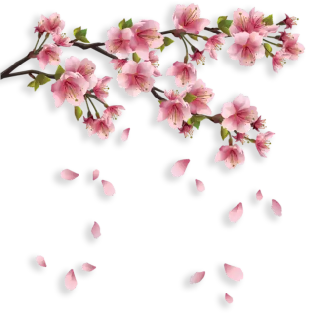 decorative cherry blossoms